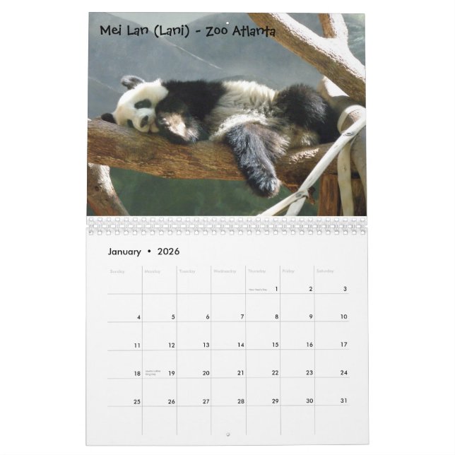Calendário Uma paixão para pandas! , 2009 Calendar, Pho… (Jan 2026)