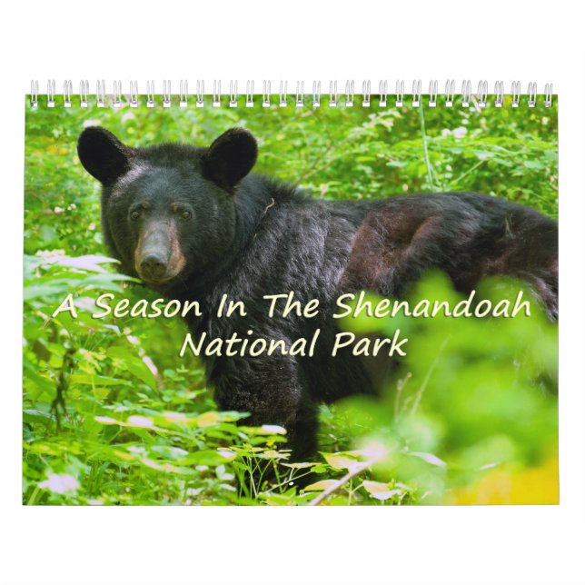 Calendário Uma Temporada No Parque Nacional Shenandoah (Capa)
