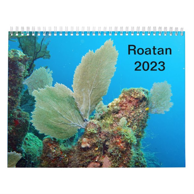 Calendário Underwater Calendar -- Roatan, Honduras (Capa)
