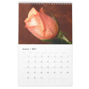 Calendário Único Rosa 2017