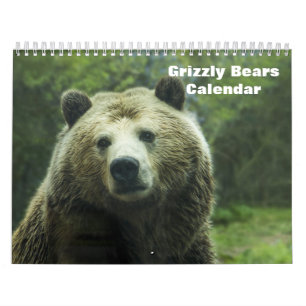 Calendário Ursos Grizzly