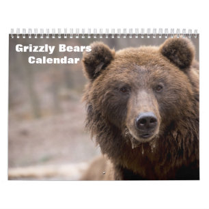 Calendário Ursos Grizzly 2025