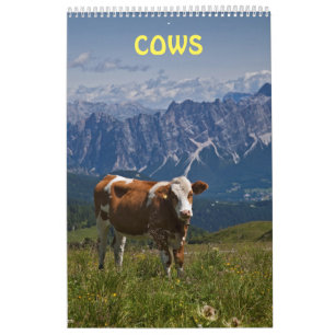 Calendário Vacas