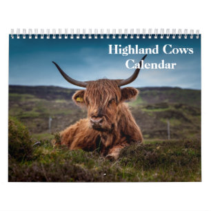 Calendário Vacas do Highland 2024