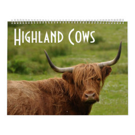 Calendário Vacas Highland - 12 Meses de Bovinos Highland -