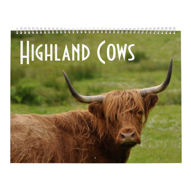 Calendário Vacas Highland - 12 Meses de Bovinos Highland - (Capa)