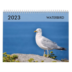 Calendário Várias aves aquáticas
