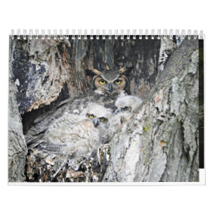 Calendário Várias Aves e Patos