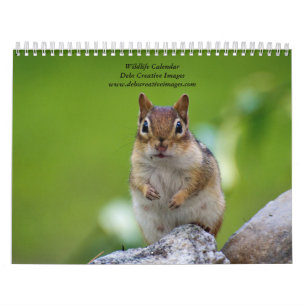 Calendário Variedade de animais selvagens 2024