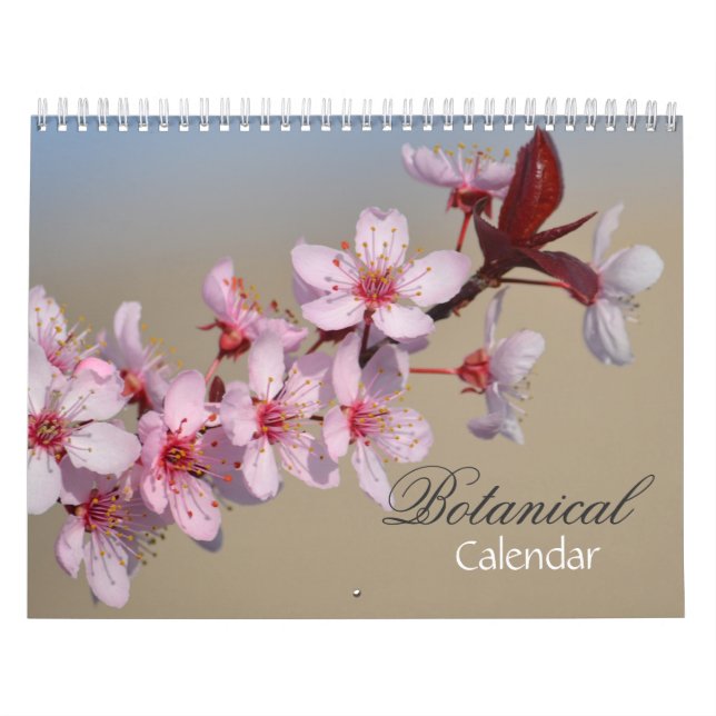 Calendário Variedade de Flores (Capa)