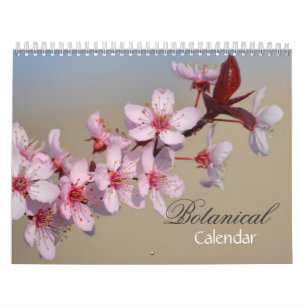 Calendário Variedade de Flores