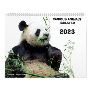 Calendário Vários animais isolados em 2023