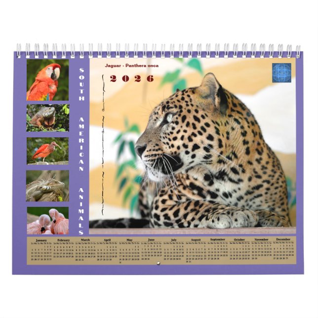 Calendário Various animals of South America Calendar (Capa)