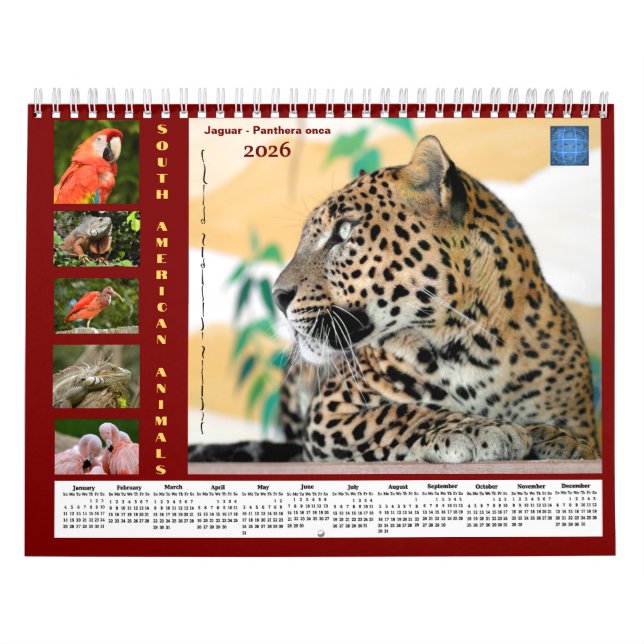 Calendário Various animals of South America Calendar (Capa)