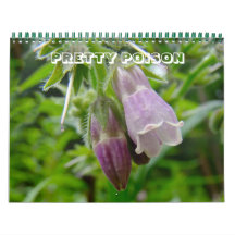 Calendário - Veneno Bonito