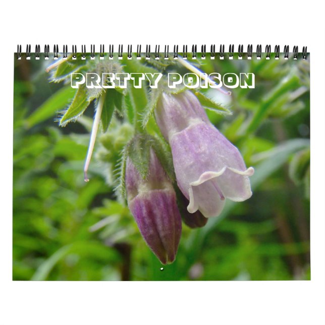 Calendário - Veneno Bonito (Capa)