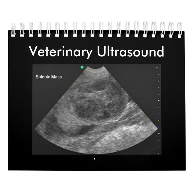 Calendário veterinário do ultra-som (Capa)