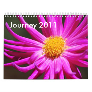 Calendário Viagem 2011