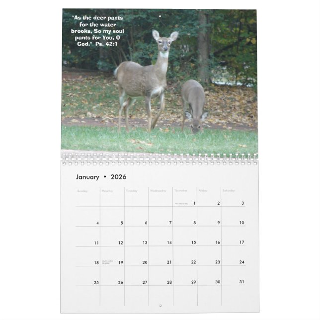 Calendário Viagem 2012 (Jan 2026)