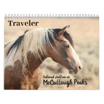 Viajante de McCullough Peaks Cavalo Selvagem