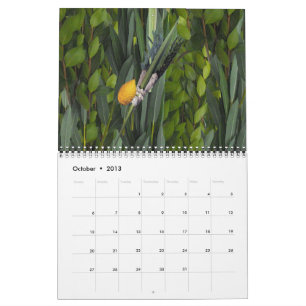 Calendário Vida judaica