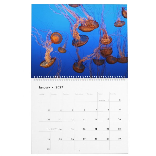 Calendário Vida marinha (Jan 2027)