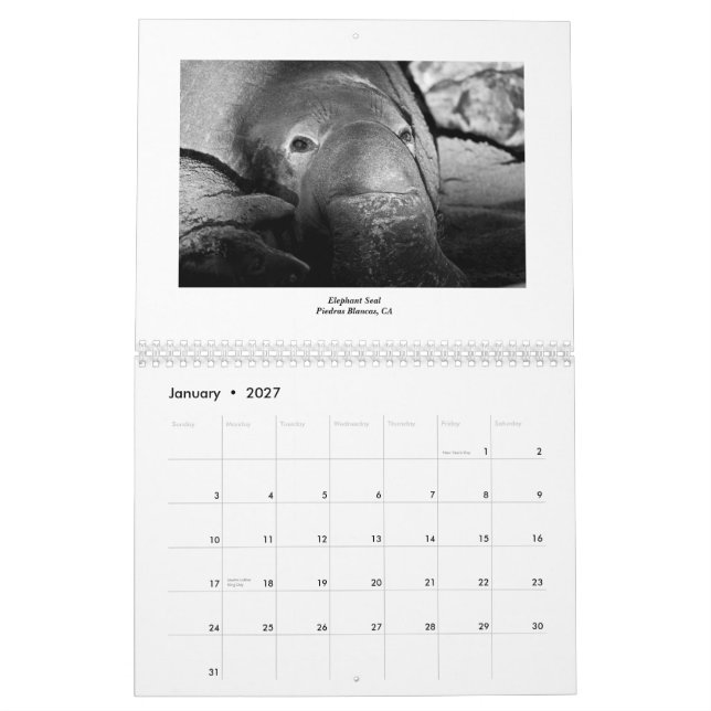 Calendário Vida marinha 2011 (Jan 2027)