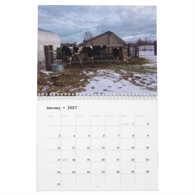 Calendário Vida Ranhura - Bovinos (Jan 2027)