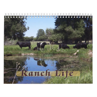 Calendário Vida Ranhura - Bovinos