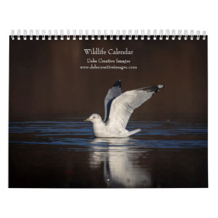 Calendário Vida Selvagem 2026