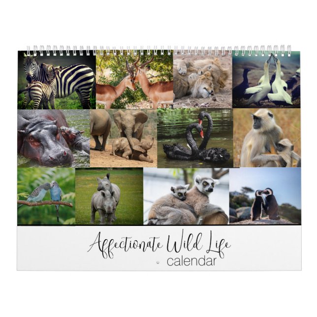 Calendário Vida selvagem afetada (Capa)