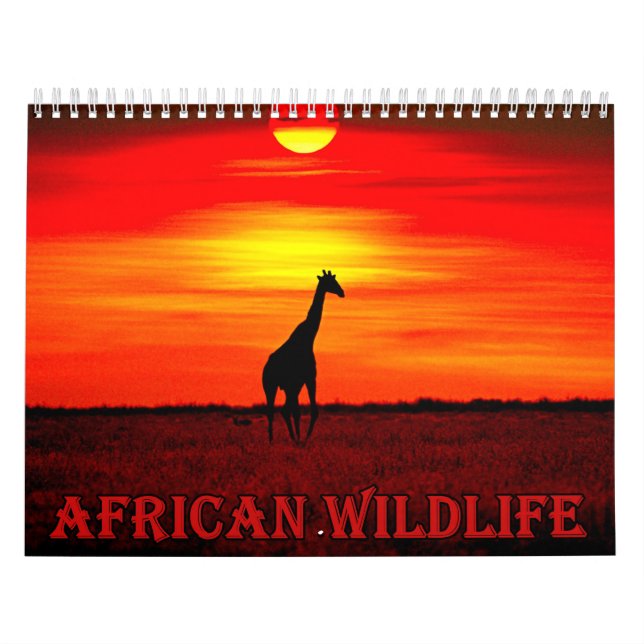 Calendário vida selvagem africana (Capa)