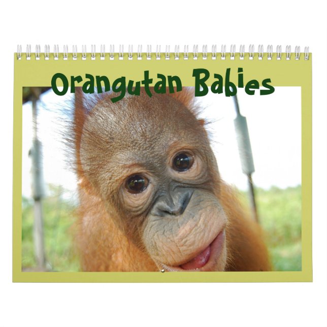 Calendário Vida Selvagem de Orangutan Macacos (Capa)