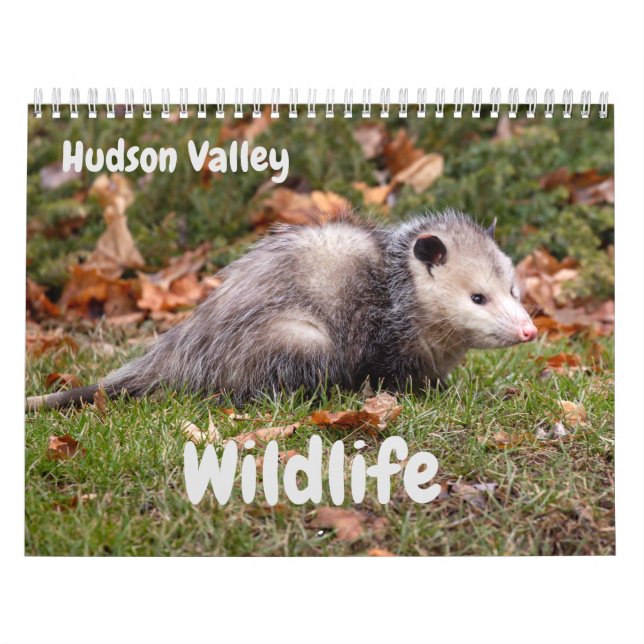 Calendário Vida Selvagem do Vale do Hudson (Capa)