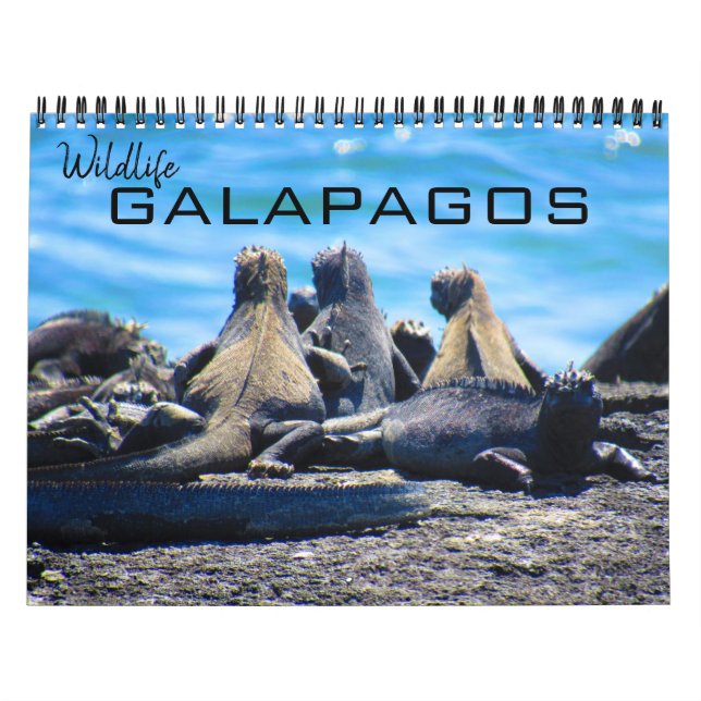 Calendário vida selvagem galapagos 2027 (Capa)