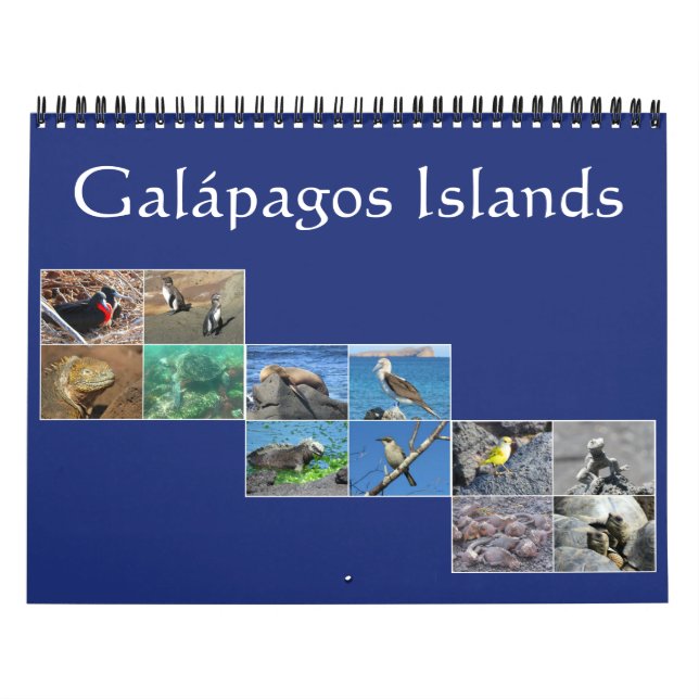 Calendário vida selvagem galapagos 2027 (Capa)