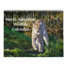 Vida Selvagem Norte-Americana