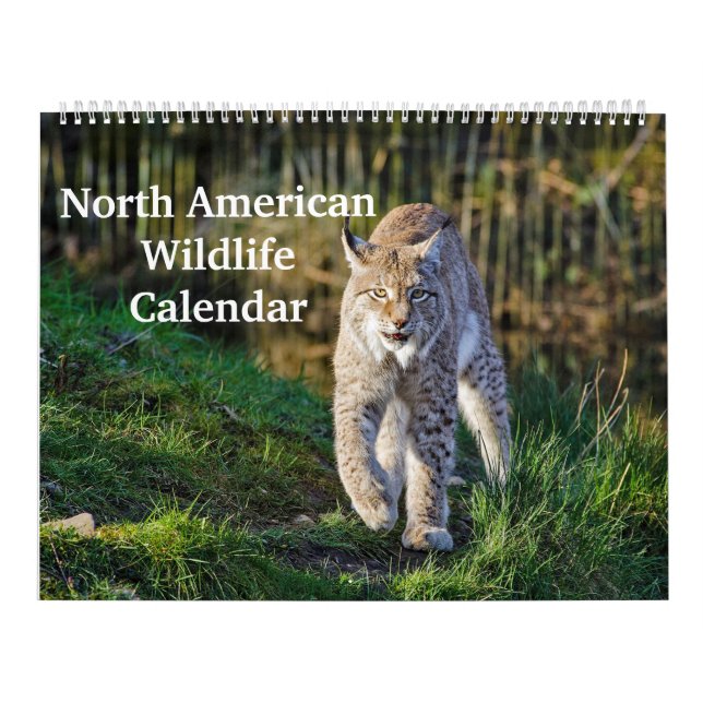 Calendário Vida Selvagem Norte-Americana (Capa)