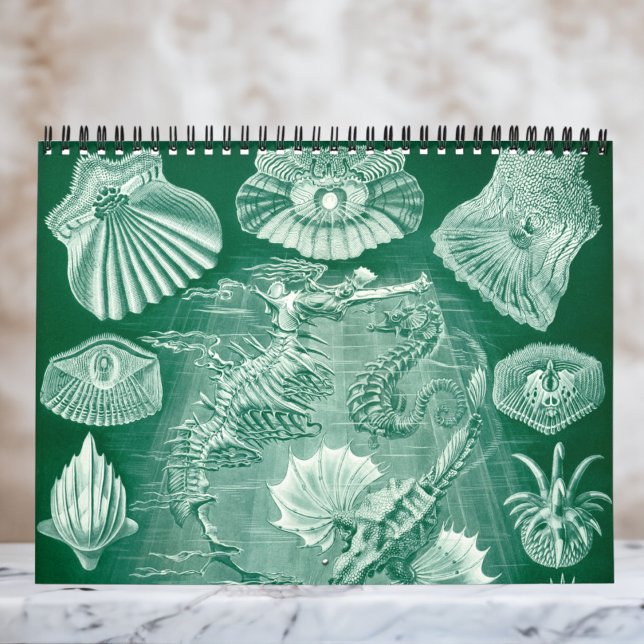 Calendário Vintage Ernst Haeckel, Biologia, Botânica, Ciência (Ernst Haeckel Wall Calendar)