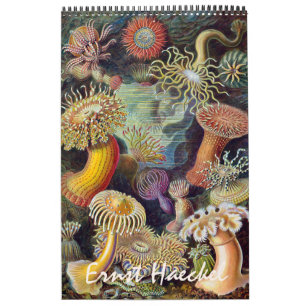 Calendário Vintage Ernst Haeckel, Biologia, Botânica, Ciência