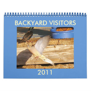 CALENDÁRIO VISITANTES DE BACKYARD