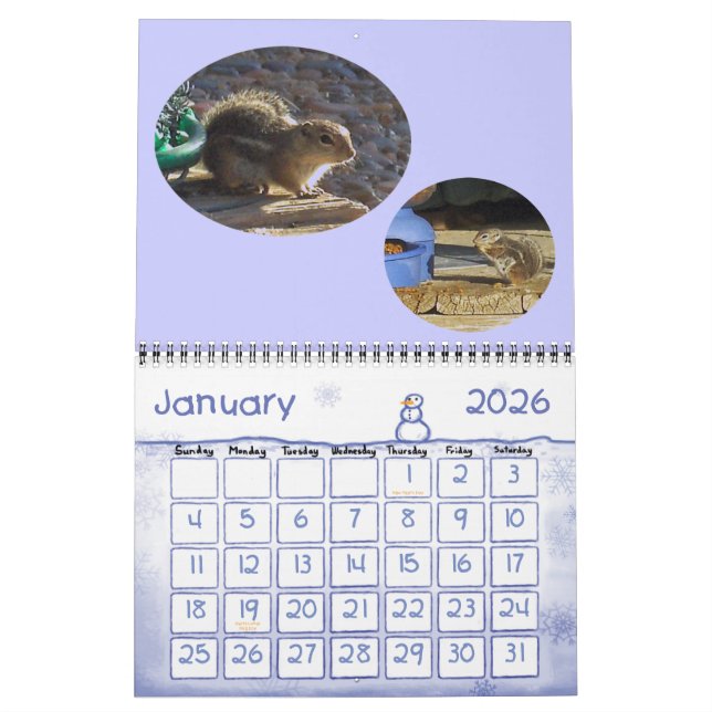 CALENDÁRIO VISITANTES DE BACKYARD (Jan 2026)