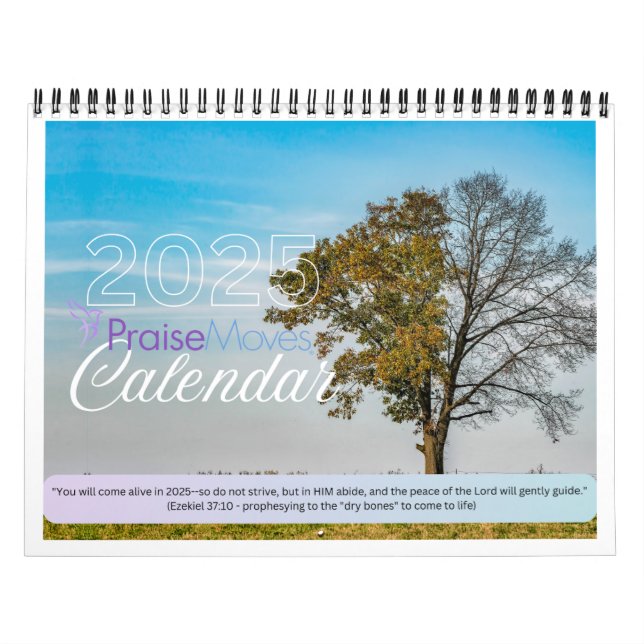 Calendário Viva em 2025 (Capa)