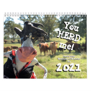 Calendário Você nHEIFER encontrará um COWlendar melhor do q