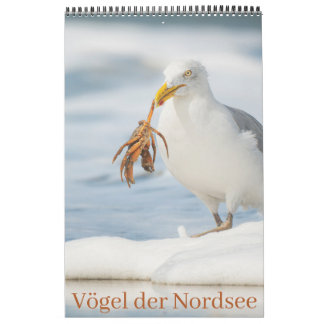 Calendário Vögel der Nordsee Kalender