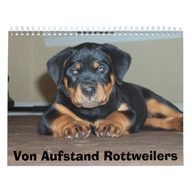 Calendário Von Aufstand Rottweilers (Capa)
