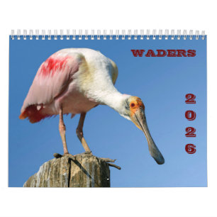 calendário waders 2025