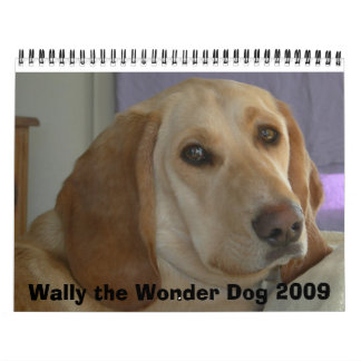 Calendário Wally o cão 2009 da maravilha