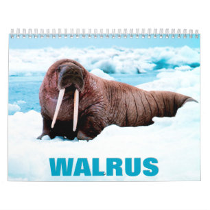 Calendário Walrus Wall Calendar