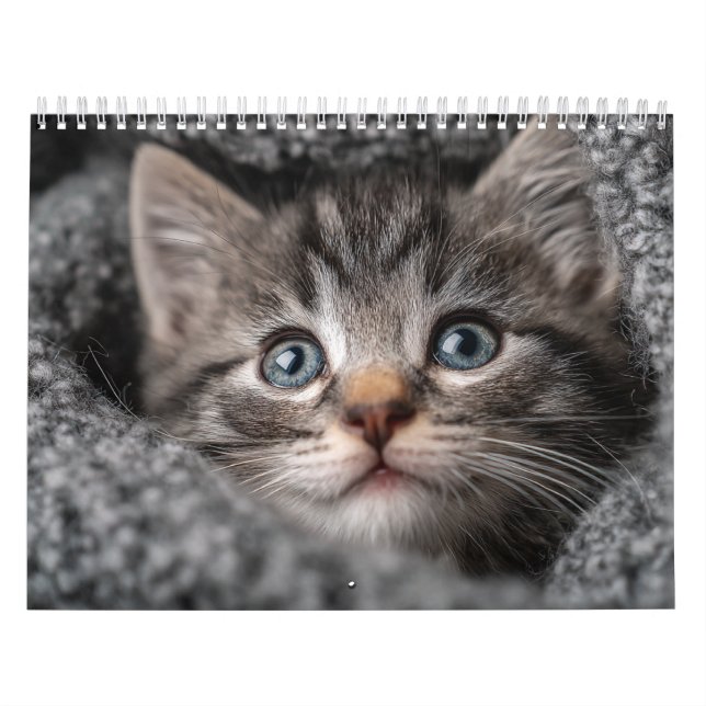 Calendário Warm Aesthetic Animal | Cozy Cat Photography Wall (Capa)